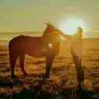 Bb622e1083d438fe79a9032609322b571ee281df