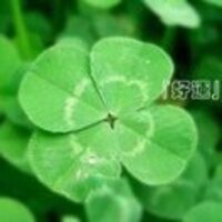 2cd7c631b6cc3a680bdc97311bb28f5b0945ca9b