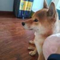 Bda2d2c8a3e4ce076f52eff89de425a7e215ef64