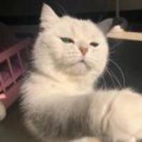 Ebee01dbd026ada6aef952f7434e5034ec8a9aca