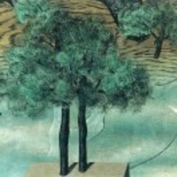 C8705152ace06e8634550f7a7636061de612d552