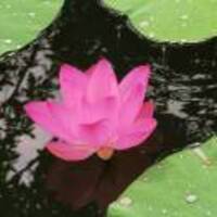 Bb50c74bd40915ca7a9f1bd5fca3be314eeb4cec