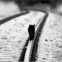 C9f506169ce44e2d22b86c3875146bff791f6ed3