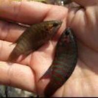 47b8fd90cf542bc494f6f81a672c88141e898a72