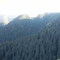 0a81ef3fe8553b258747795c015a6989a0f43d21