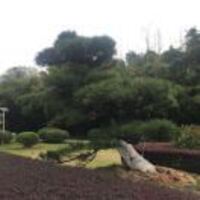 660e23ddaabb9dec8da8da1e8c649f81576a9f2c