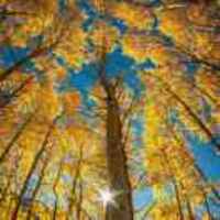 9ae1d2c69ec35a51d08732e75feedefc6da4f433