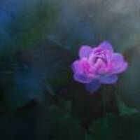 D4d71c660cd09136b267ecf995baa21908deb0db