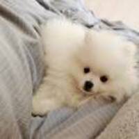 E2ea2930a0eb18abe022601ef121cb2ebe9042e6