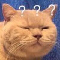 4f0740fa1e241db180d62baca0a9e42fbb2c8597