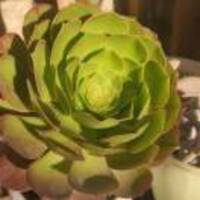 F0bfcd1766af803348d031eb9e000fc6ee55e019