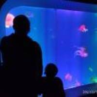 Bbb2cfa646b30dd272d3da596e48fa6664466827