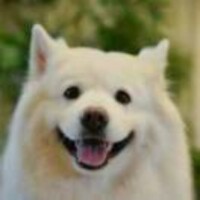 C7c13c283d8c1b3ded6e6063f5af453668651781