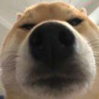 Ac7e0a23e1608dfccb9180a4e02346a2ef7d7d89