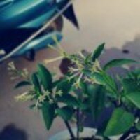 9df262996ca39b6e72a141c4c9907eb2a4a0408d