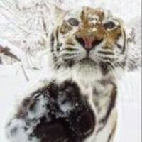 49a67236418811e683c27f235a548f8475c64a85