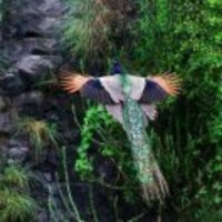 Ed808bc77fdb955b12aeea58e5eb7f5b4516297d