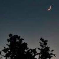 724341d2526c6cc17adc8a341a55a63919b72d5c