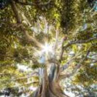 02c3770adaacfa98281797cd48d7b8ac2ba580b2