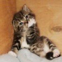 6fb1ed3cc844616f9cf0d400e2cbaa04ae086039