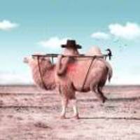 B85bf71e689d29cc4751b1846aeef7443098f05d