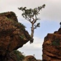 C3e0536331aa5064bb9f1fe8fa536c5fbe9dc09a