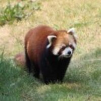 70606f9cc965a245d2245d0e769fa0a70865b135