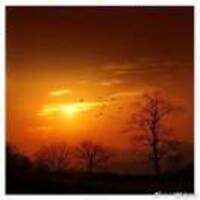 Cd1a91234ef89c96758888a217215328bc93d054