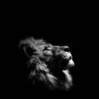 219b5811d33fa8c258596a64c6de4c00c01a8f4d