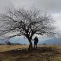 A9210640cd4bb1a8ccd34e24820f8ffa00a1b947