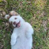 4bafa367c6283594a07d962c87a858e2e5cf221a