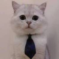 Fd452229e0fac1c03927c9e4a0fd2a346ce724a0