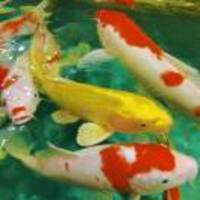 2193a8993d1b9617217e6d6c0594bfb082e69c24