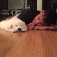 799dcad3f1645b955f34ed392554d2bf0ee406f5