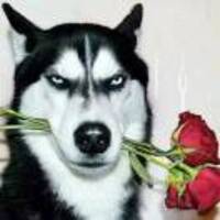 71159ab9f5b50a9ecfda543c44f16d9803477754