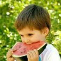 A8e8803fabb1c09d6279cd20d384cae042bd56ef