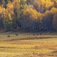 5ca81127430878cd992cee6a649311ef22831ef5