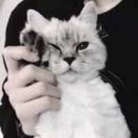 22badf7dd6af43fef782ad4ecc443d960f6448fc