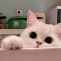 6037de6af4326c74278bfca55466eddb13a01e48