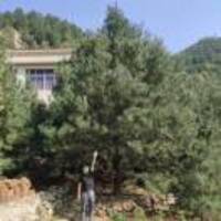 Efce08530751379fca22098d95605a18be5af269