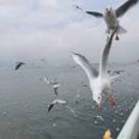 117744cc922ee365e4b2e5883cf251caeb2d15c2