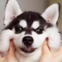 59e8aa623a87e53e9c81e9848e8a92adfac2399f