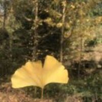 9a201bd1257a832daf167195cd4359203d6dafad