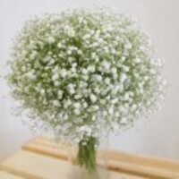 142140866670480d4cc63e84748688cc40e7300a