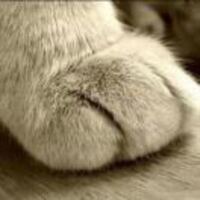 84617cd0da27bd4d7e221dd4a0a610801e27bf80