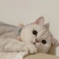 8dcd4e303689a3335984613394f1319fb00d23dd