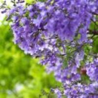 3ad7f75328e5f1e9d1332fa9ad580334563ef240