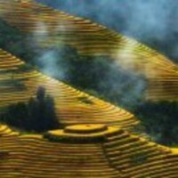 C74d8434ee3ae99eb9b3a82389369ae4b8a8b654