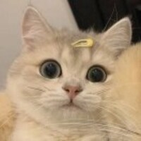 0af162e529d1a362d741ca7bd3e2b2f116e482af