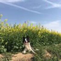 Efe399bc23ea578312f3aaba6c39e08ff707dd7a